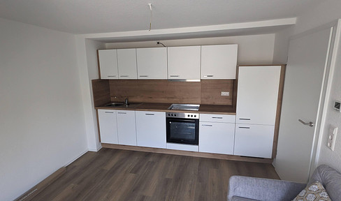 Partly furnished 2-room apartment with XXL terrace in Stuttgart-Rohracker, completely refurbished to KfW85 standard