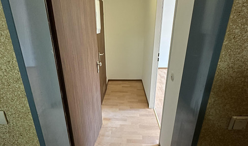 1­-Zimmer Apartment - Balkon und Küche - zentral aber ruhig - im Nibelungenviertel