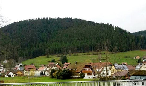 Charming hotel in the Black Forest for lease/sale