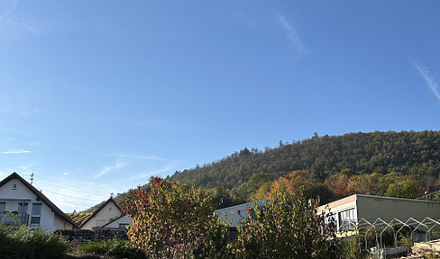 Großes Einfamilienhaus in Frankweiler - sanierungsbedürftig - genehmigtes Ausbaupotential