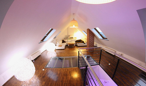 Spacious penthouse apartment in Plagwitz.
