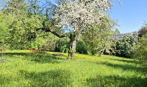 TOP LOCATION, IN THE COUNTRYSIDE, QUIET