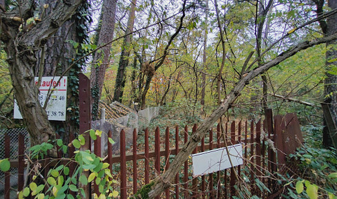 Waldgrundstück in Detershagen