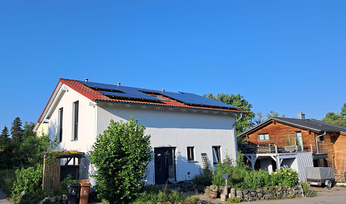 Energy-saving house with natural oasis