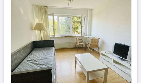 Small furnished apartment for rent from 17.12.2024 to 31.5.2025