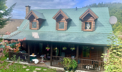 American log house in picturesque top location