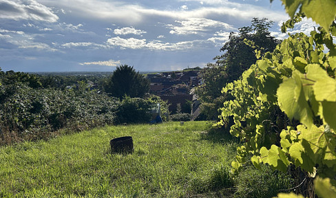 Blick auf Strasbourg, Fremersberg und Y-Burg