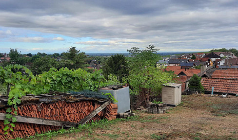 View of Strasbourg, Fremersberg and Y-Burg