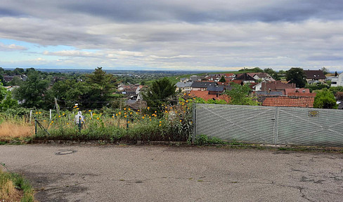 View of Strasbourg, Fremersberg and Y-Burg