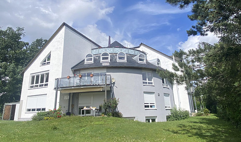 MFH dream home above the Elbe valley in Weinböhla