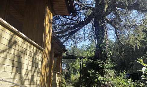 Idyllic plot on the edge of the forest near Lake Liebenberg - 2,396 m² with existing buildings
