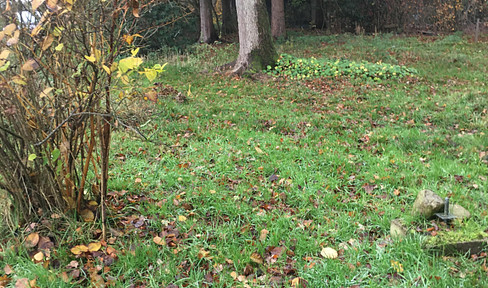 Riesiges Baugrundstück in der Natur