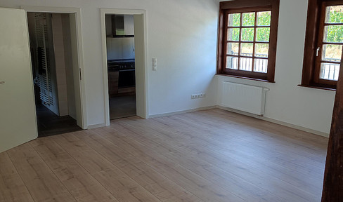 Beautiful, newly renovated one-room apartment, with separate kitchen and bathroom/WC