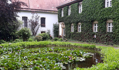 Castle grounds with manor house, barn, horse stables and adjoining building plots