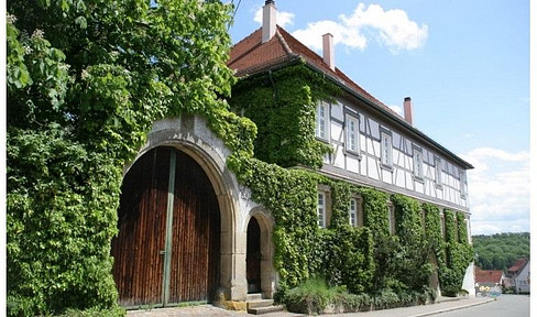 Castle grounds with manor house, barn, horse stables and adjoining building plots