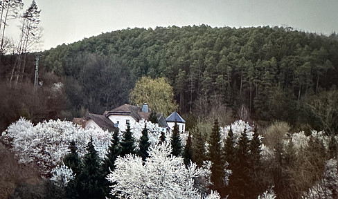 Villa in the picturesque Palatinate, in the Bad Dürkheim-Neustadt-Kaiserslautern triangle