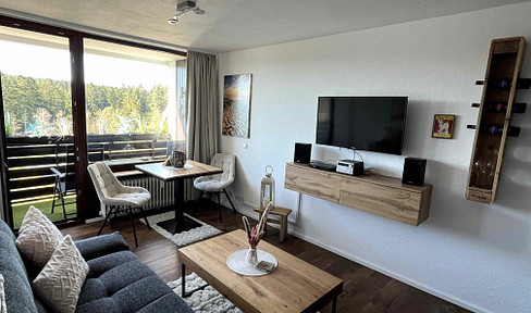 Cozy 1-room apartment with balcony fully equipped and freshly renovated