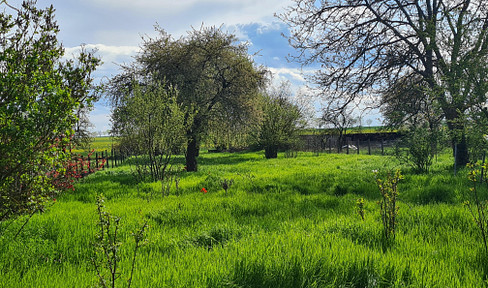 Baugrundstück(e) Naturidylle EFH DHH Tiny House Bauturbo