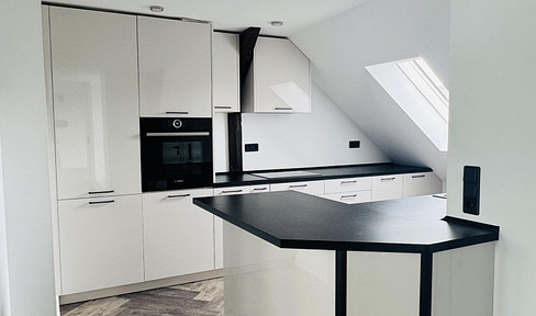 *New* exclusive 4-room apartment with fireplace, air conditioning, roof terrace and many extras