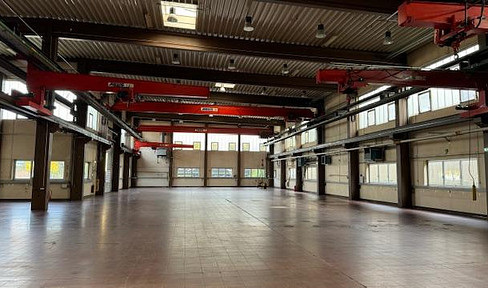 Beautiful hall with various cranes, several ancillary areas and open spaces, as well as ample parking.