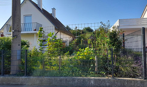 Small house, completely renovated with beautiful garden