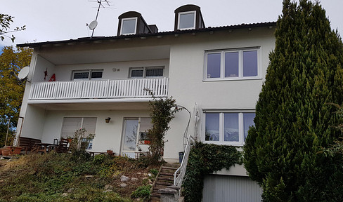Multi-family house, with 3 apartments (1 vacant, 2 rented), and a large plot of land.