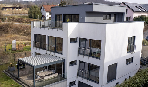 Bauhaus - Villa trifft Energieeffizienz