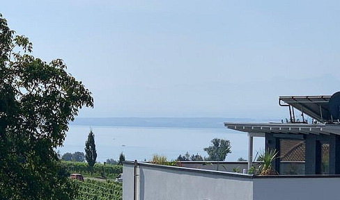 Exclusive 2-room apartment with views of Lake Constance and the Alpine panorama