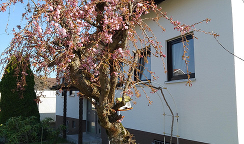 Spacious, detached family home with granny apartment in Gäufelden for sale from private owner