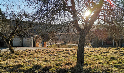 Grundstück in idyllischer Ruhelage – 1 Hektar mit Baugrund & Wirtschaftsgebäude