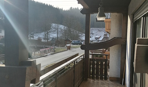 Large 2.5 room apartment with balcony in Bad Rippoldsau Schapbach