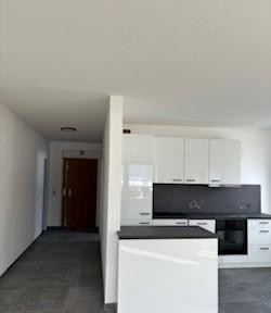 First occupancy - newly renovated apartment in St.Johann in Tirol for rent