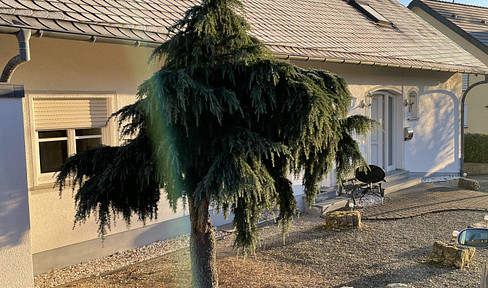 Fantastic 6 room apartment, approx. 165 sqm, with balcony & garden area, fitted kitchen, large daylight bathroom, children's bathroom, guest WC