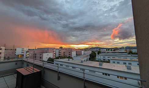 Roof terrace dream: flooded with light, sustainable, commission-free!