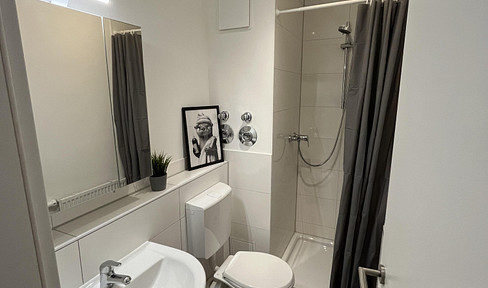 Central city apartment near the Schweinau subway station completely renovated and furnished with EBK