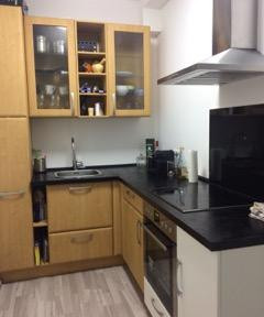 Freshly renovated 1 room apartment
