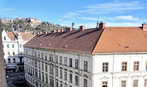 Zentrum: Erstbezug, 2 Zimmer, Balkon, Schlossbergblick