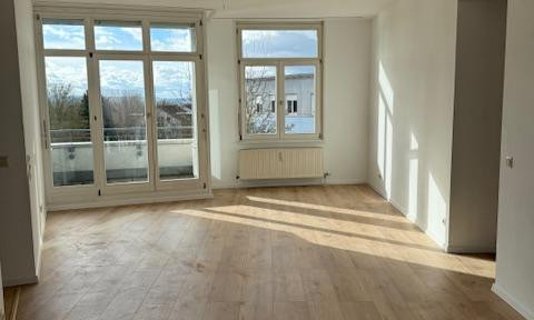 RENOVATED 3-room top floor apartment with balcony and great view