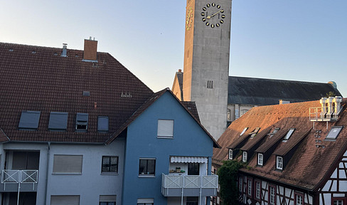 Sehr schöne, modernisierte 3ZKB mit Dachterrasse im Herzen Hockenheims