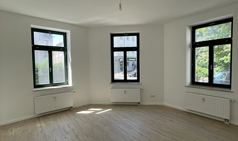 First occupancy after renovation - 1 room apartment with EBK