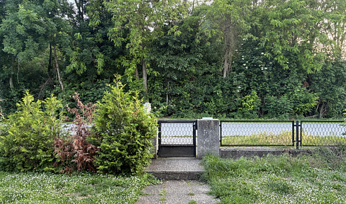 Life in a nature reserve.