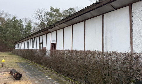 750 m² Halle in Strausberg mit 2500 m² Freifläche zu vermieten