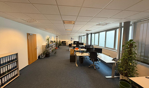Modern office/practice space approx. 200-650sqm, air conditioning, fiberglass - Arnsberg Niedereimer