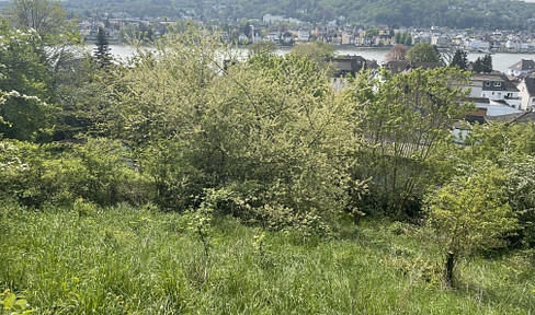 Verlockendes Angebot: Traumgrundstück mit Panoramablick auf den Rhein