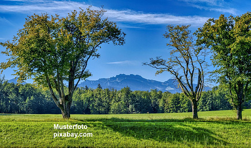 TRAUMHAFTE WOHNLAGE ! Ihr sonnenverwöhntes Domizil im Chiemgau, mit wunderschönem Alpen-Panorama