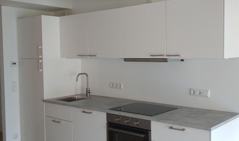 Sympathisches 1 Zi Apartment mit Balkon und EBK