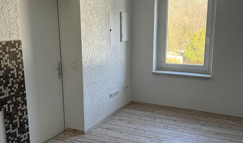 Greiz, sanierte, herrliche Singlewohnung mit Fußbodenheizung, in Greiz/Rothental