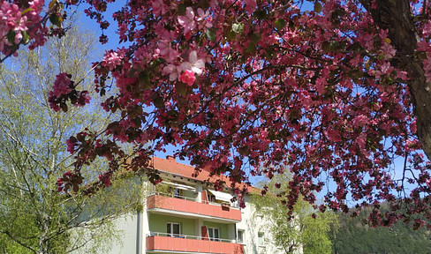 Schöne 2 Zimmerwohnung mit traumhaften Ausblick und großer Loggia