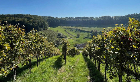 Einzigartiges Objekt zwischen Stuttgart und Heilbronn