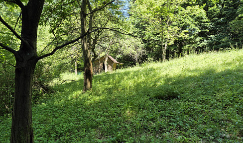 Baugrund in Graz-Gösting zu verkaufen